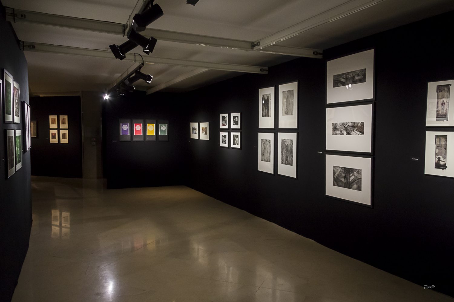 Le Salon des Beaux Arts de la Société Nationale des Beaux Arts